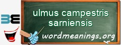 WordMeaning blackboard for ulmus campestris sarniensis